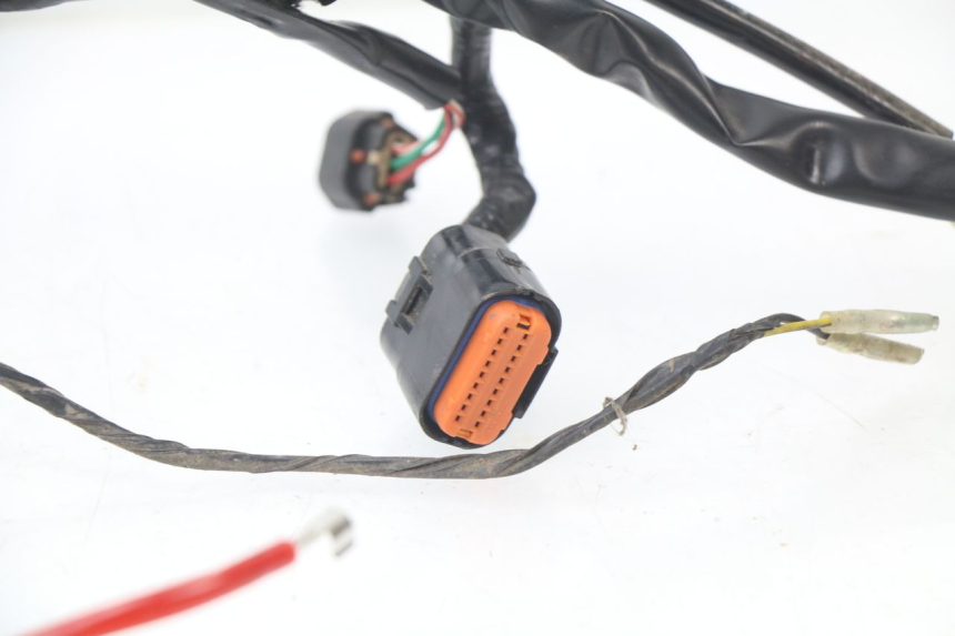 photo de WIRE HARNESS JM MOTORS MILANO 50 (2014 - 2019)