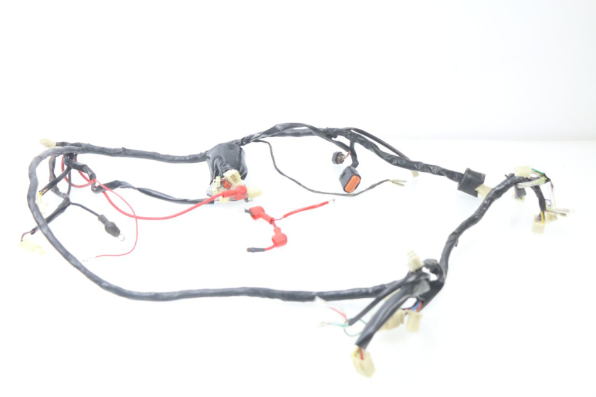 photo de WIRE HARNESS JM MOTORS MILANO 50 (2014 - 2019)