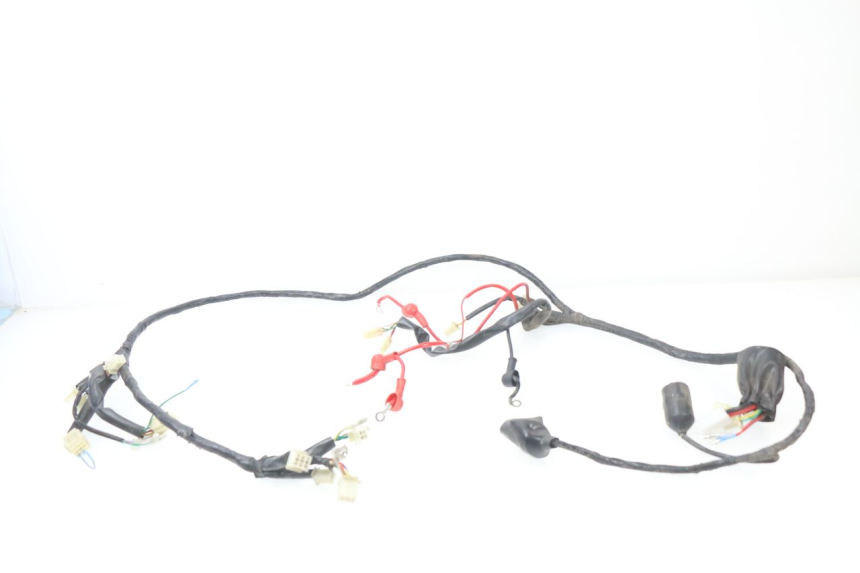 photo de WIRE HARNESS JM MOTORS MILANO 50 (2014 - 2019)