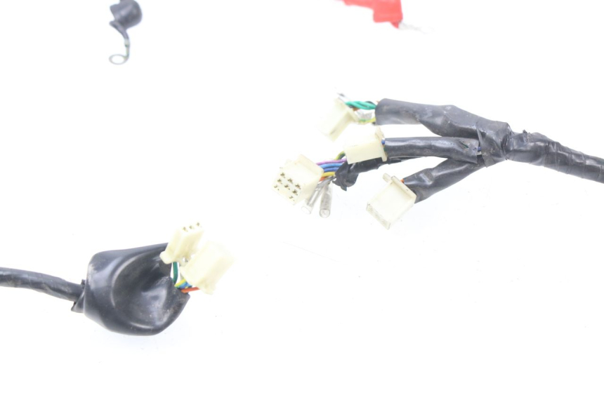 photo de WIRE HARNESS JM MOTORS MILANO 50 (2014 - 2019)