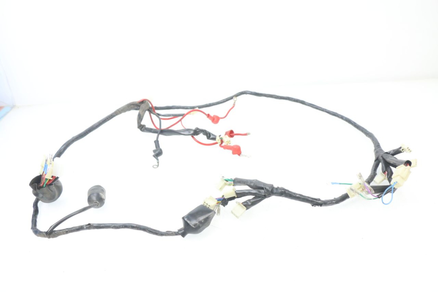 photo de WIRE HARNESS JM MOTORS MILANO 50 (2014 - 2019)
