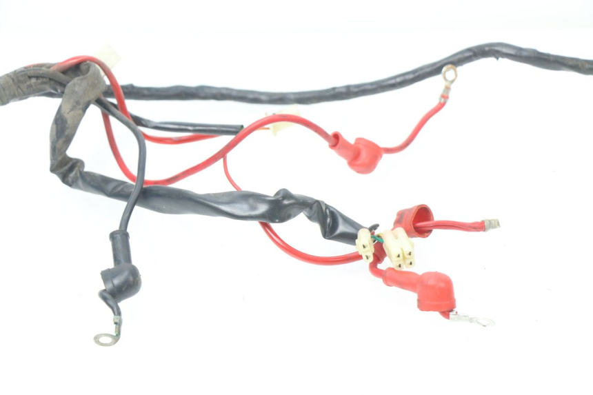 photo de WIRE HARNESS JM MOTORS MILANO 50 (2014 - 2019)