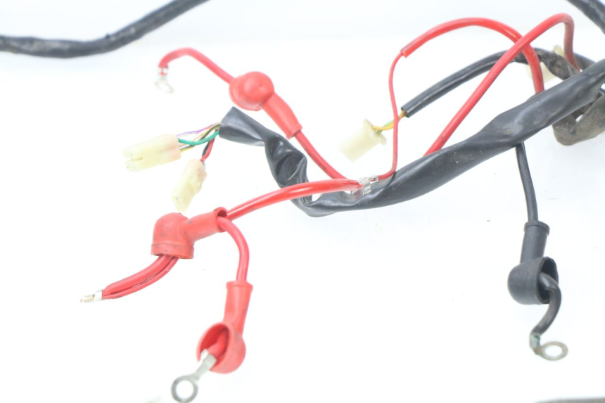 photo de WIRE HARNESS JM MOTORS MILANO 50 (2014 - 2019)