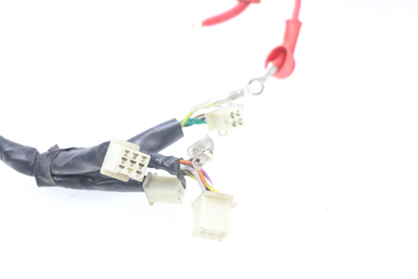 photo de WIRE HARNESS JM MOTORS MILANO 50 (2014 - 2019)