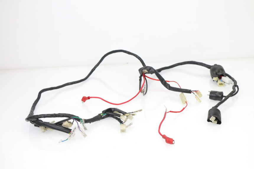 photo de WIRE HARNESS JM MOTORS MILANO 50 (2014 - 2019)
