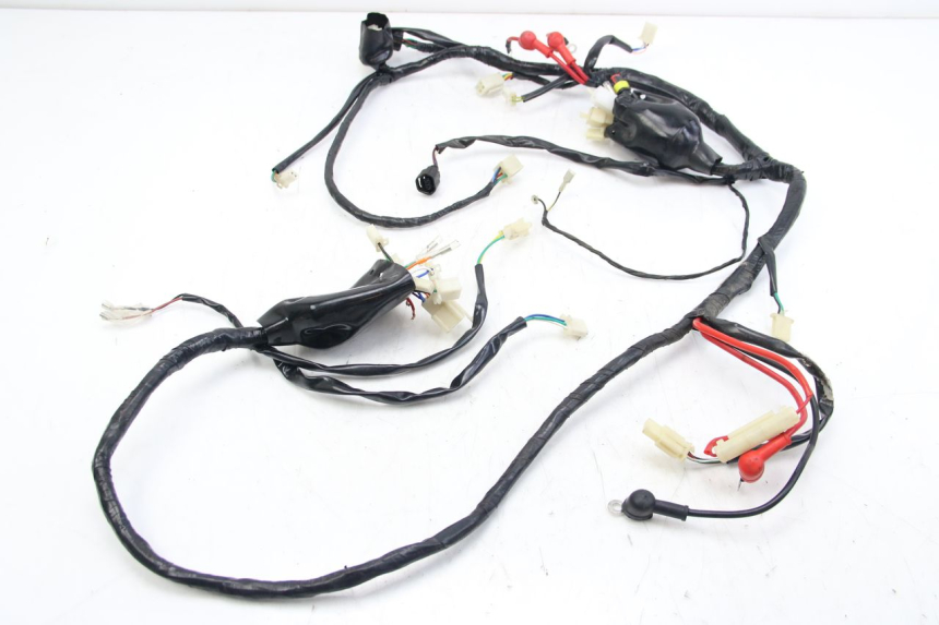 photo de WIRING HARNESS JM MOTORS OLDIES 4T 50 (2010 - 2020)