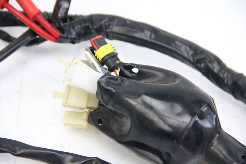 photo de WIRING HARNESS JM MOTORS OLDIES 4T 50 (2010 - 2020)