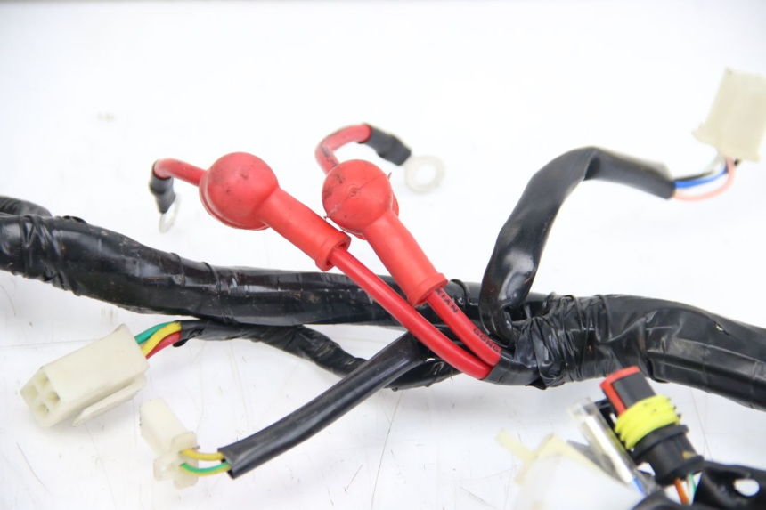 photo de WIRING HARNESS JM MOTORS OLDIES 4T 50 (2010 - 2020)