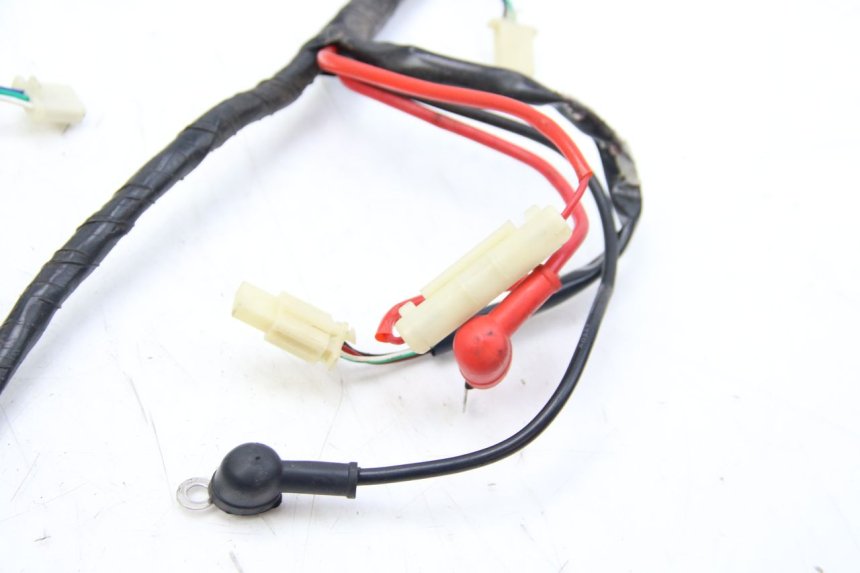 photo de WIRING HARNESS JM MOTORS OLDIES 4T 50 (2010 - 2020)