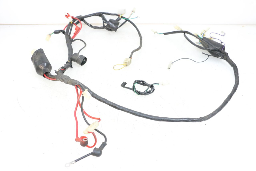 photo de WIRING HARNESS JM MOTORS OLDIES 4T 50 (2010 - 2020)