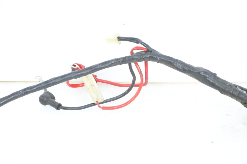 photo de WIRING HARNESS JM MOTORS OLDIES 4T 50 (2010 - 2020)