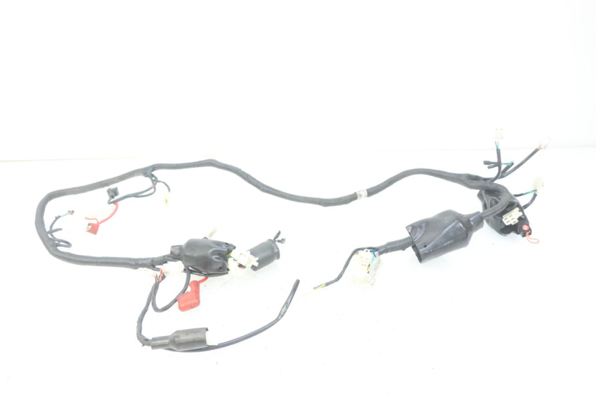 photo de WIRING HARNESS JM MOTORS SANTANA 50 (2014 - 2020)