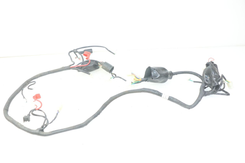 photo de WIRING HARNESS JM MOTORS SANTANA 50 (2014 - 2020)