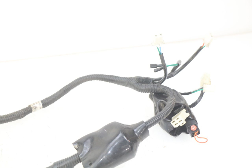 photo de WIRING HARNESS JM MOTORS SANTANA 50 (2014 - 2020)