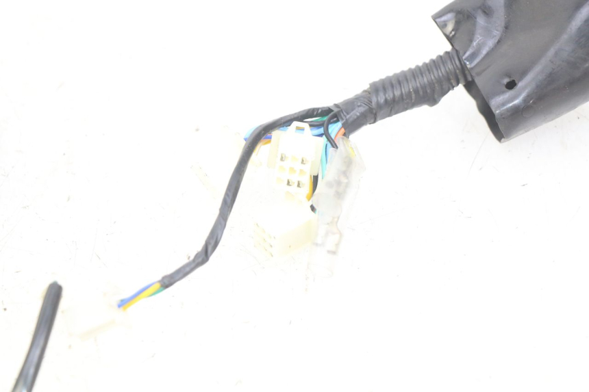 photo de WIRING HARNESS JM MOTORS SANTANA 50 (2014 - 2020)