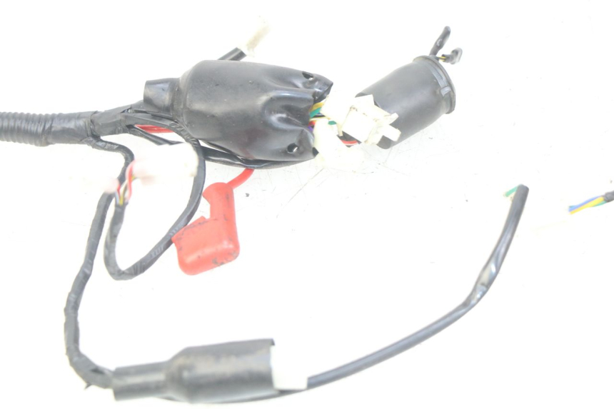 photo de WIRING HARNESS JM MOTORS SANTANA 50 (2014 - 2020)