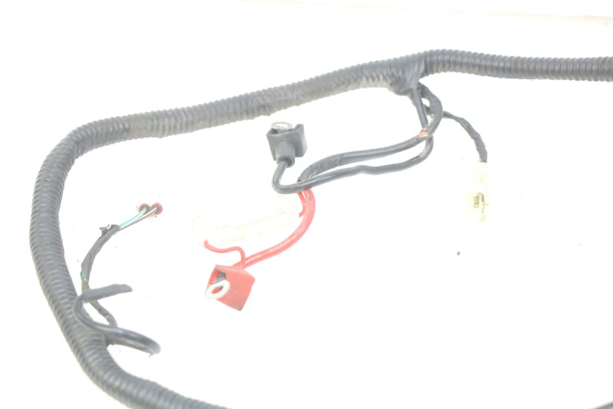 photo de WIRING HARNESS JM MOTORS SANTANA 50 (2014 - 2020)