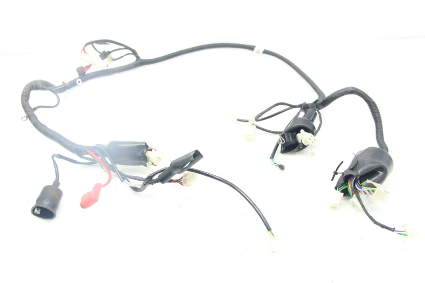 photo de WIRING HARNESS JM MOTORS SANTANA 50 (2014 - 2020)