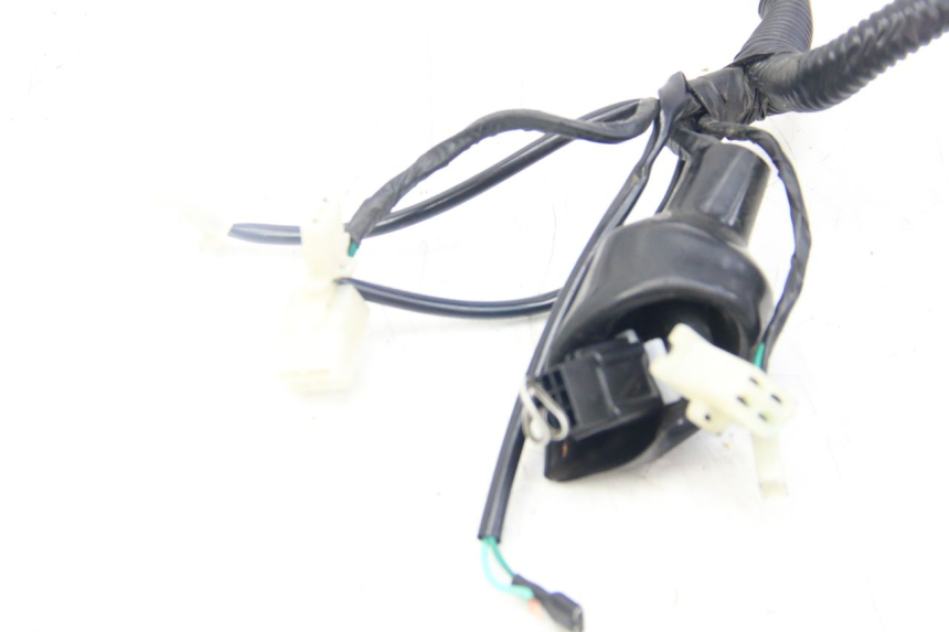 photo de WIRING HARNESS JM MOTORS SANTANA 50 (2014 - 2020)