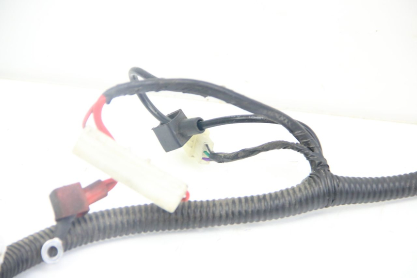 photo de WIRING HARNESS JM MOTORS SANTANA 50 (2014 - 2020)