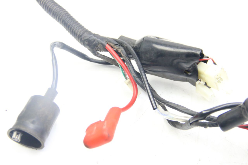 photo de WIRING HARNESS JM MOTORS SANTANA 50 (2014 - 2020)