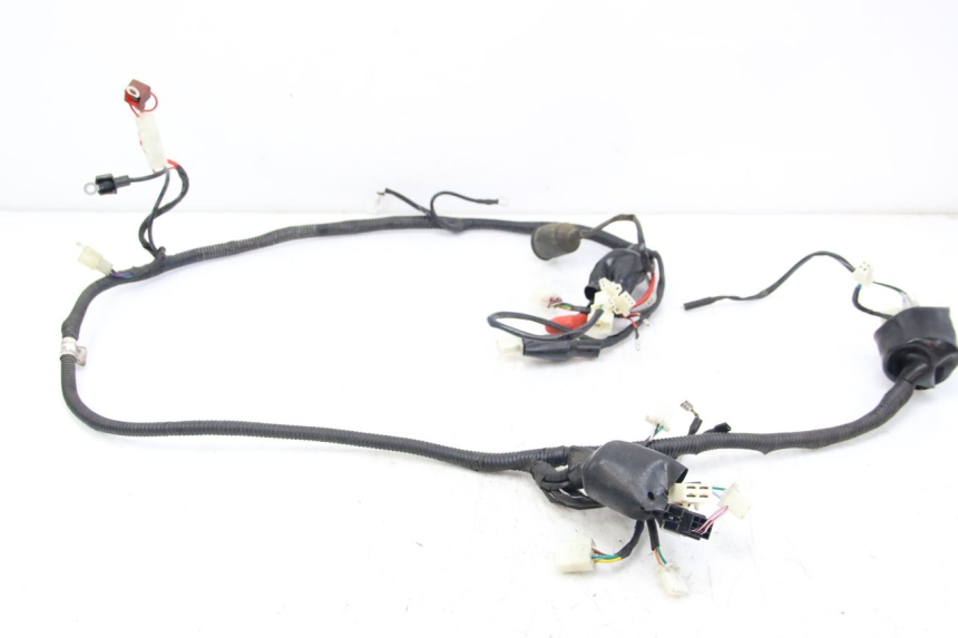 photo de WIRING HARNESS JM MOTORS SANTANA 50 (2014 - 2020)