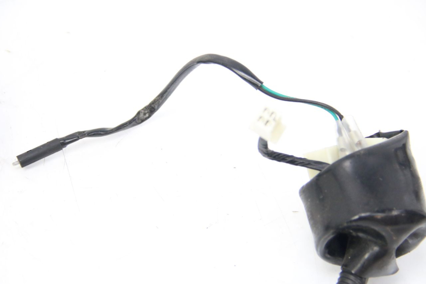 photo de WIRING HARNESS JM MOTORS SANTANA 50 (2014 - 2020)