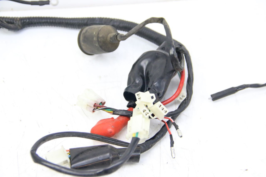 photo de WIRING HARNESS JM MOTORS SANTANA 50 (2014 - 2020)