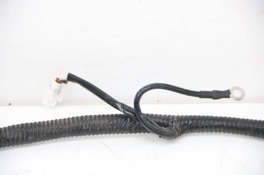 photo de WIRING HARNESS JM MOTORS SANTANA 50 (2014 - 2020)