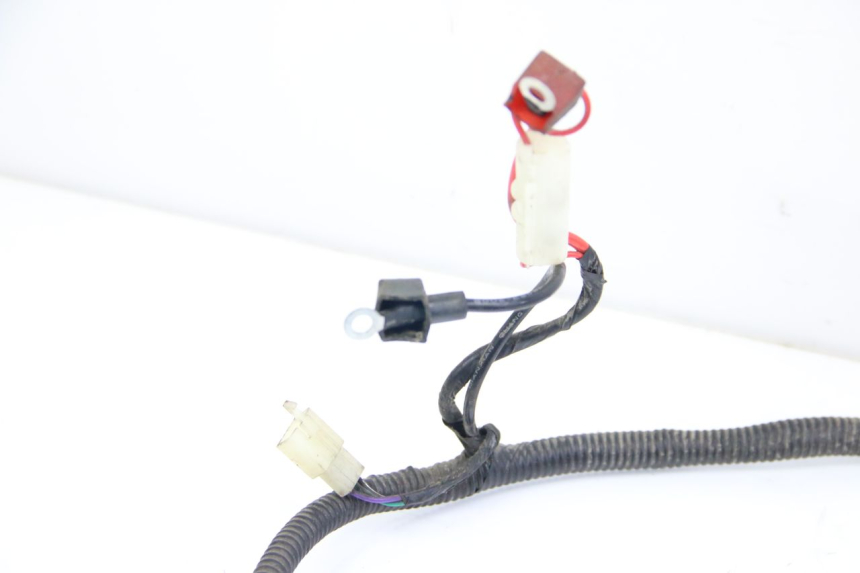 photo de WIRING HARNESS JM MOTORS SANTANA 50 (2014 - 2020)