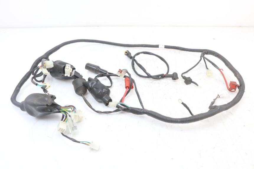 photo de WIRING HARNESS JM MOTORS SANTANA 50 (2014 - 2020)