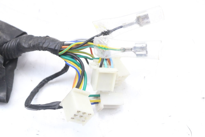 photo de WIRING HARNESS JM MOTORS SANTANA 50 (2014 - 2020)