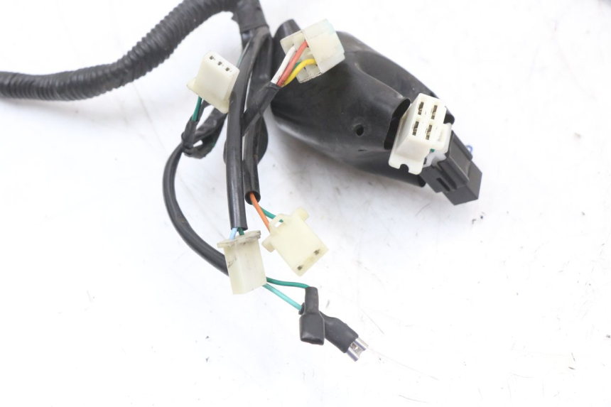 photo de WIRING HARNESS JM MOTORS SANTANA 50 (2014 - 2020)