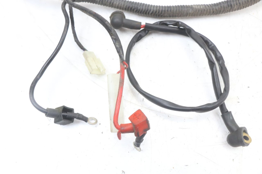 photo de WIRING HARNESS JM MOTORS SANTANA 50 (2014 - 2020)