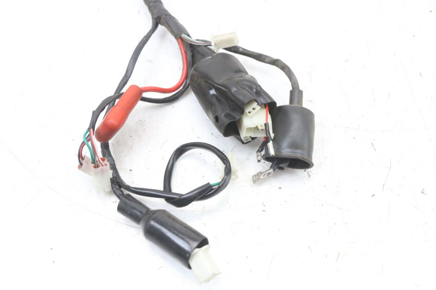 photo de WIRING HARNESS JM MOTORS SANTANA 50 (2014 - 2020)