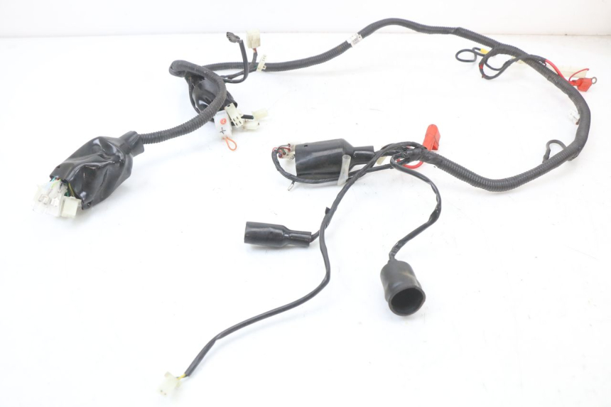 photo de WIRING HARNESS JM MOTORS SANTANA 50 (2014 - 2020)