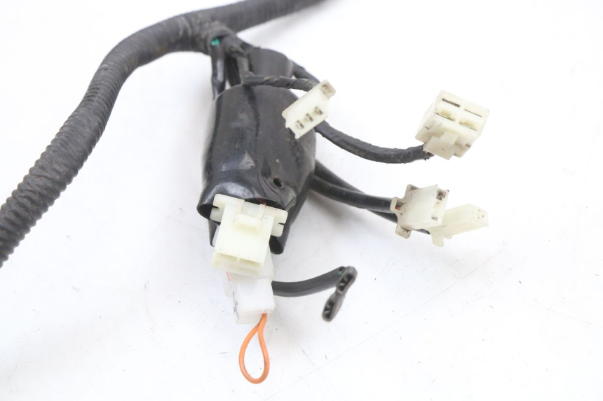 photo de WIRING HARNESS JM MOTORS SANTANA 50 (2014 - 2020)