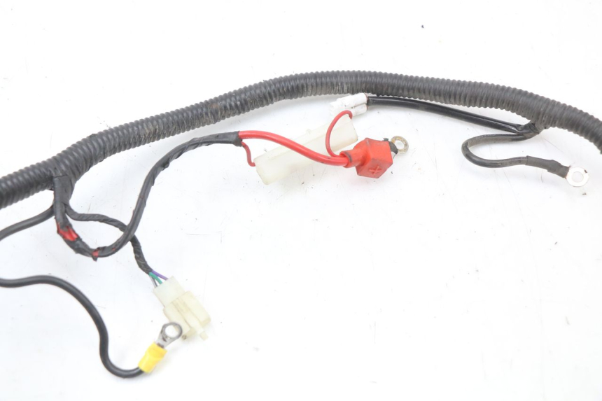 photo de WIRING HARNESS JM MOTORS SANTANA 50 (2014 - 2020)