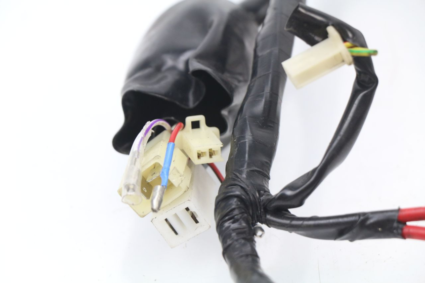 photo de WIRE HARNESS JM MOTORS SC 4T 50 (2018 - 2021)