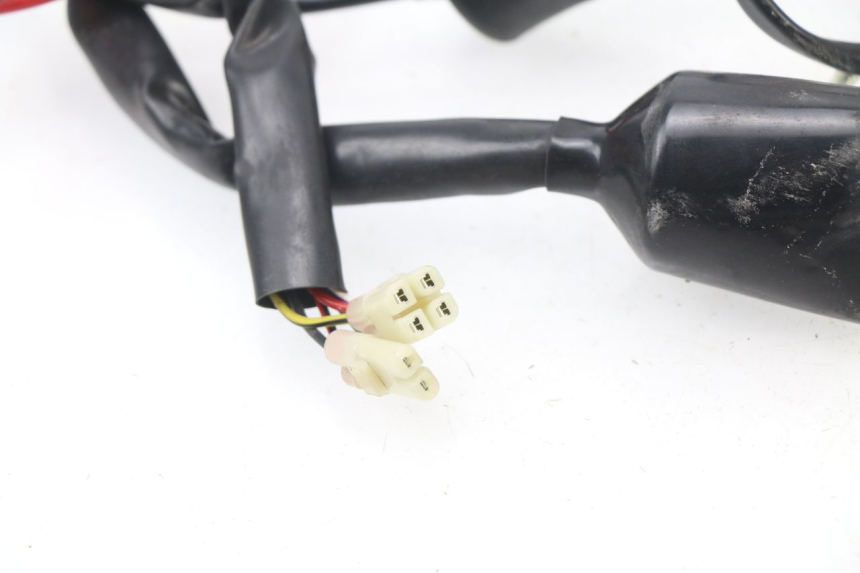 photo de WIRE HARNESS JM MOTORS SC 4T 50 (2018 - 2021)