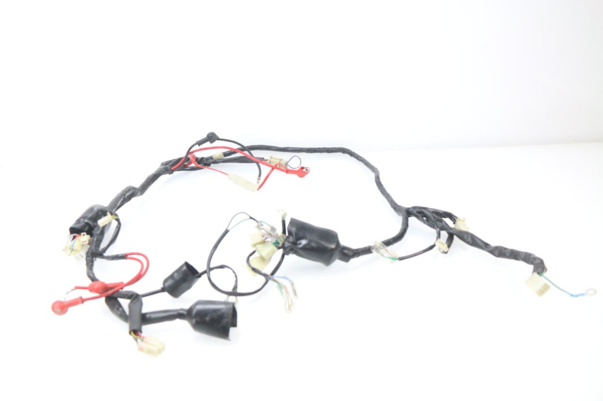 photo de WIRE HARNESS JM MOTORS SC 4T 50 (2018 - 2021)