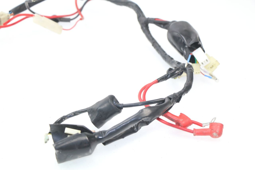 photo de WIRE HARNESS JM MOTORS SC 4T 50 (2018 - 2021)