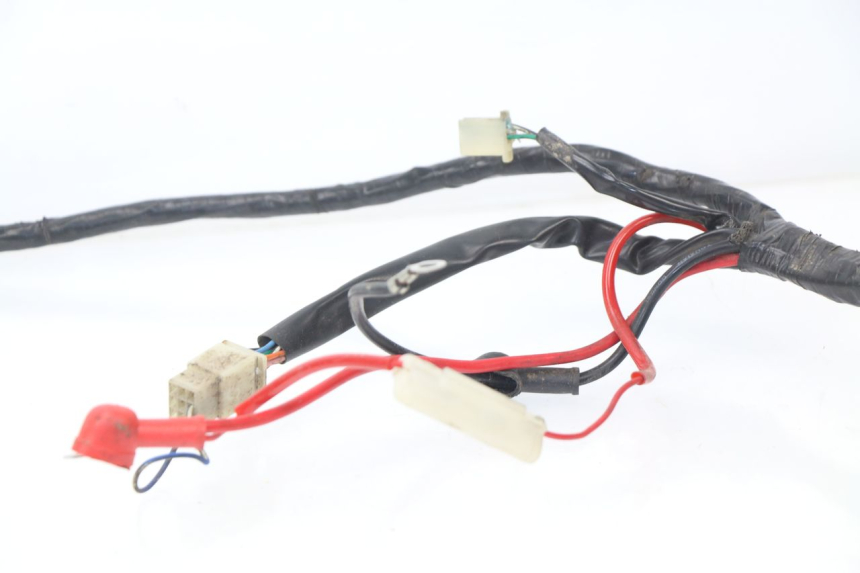 photo de WIRE HARNESS JM MOTORS SC 4T 50 (2018 - 2021)