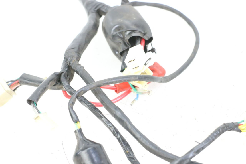 photo de WIRE HARNESS JM MOTORS VX 125 (2022 - 2025)