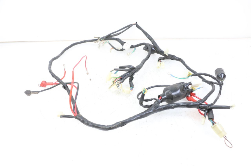 photo de WIRE HARNESS JM MOTORS VX 125 (2022 - 2025)