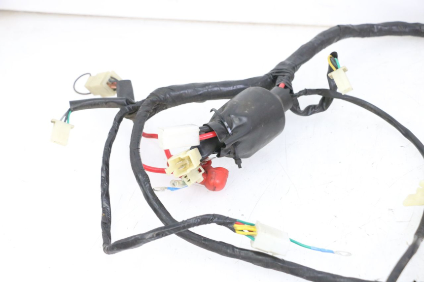 photo de WIRE HARNESS JM MOTORS VX 125 (2022 - 2025)