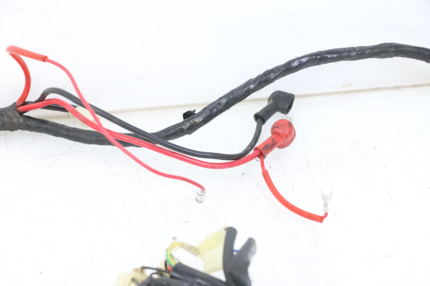 photo de WIRE HARNESS JM MOTORS VX 125 (2022 - 2025)