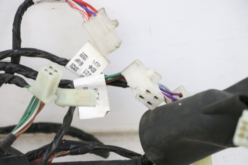 photo de WIRE HARNESS SYM JOYMAX 125 (2010 - 2017)