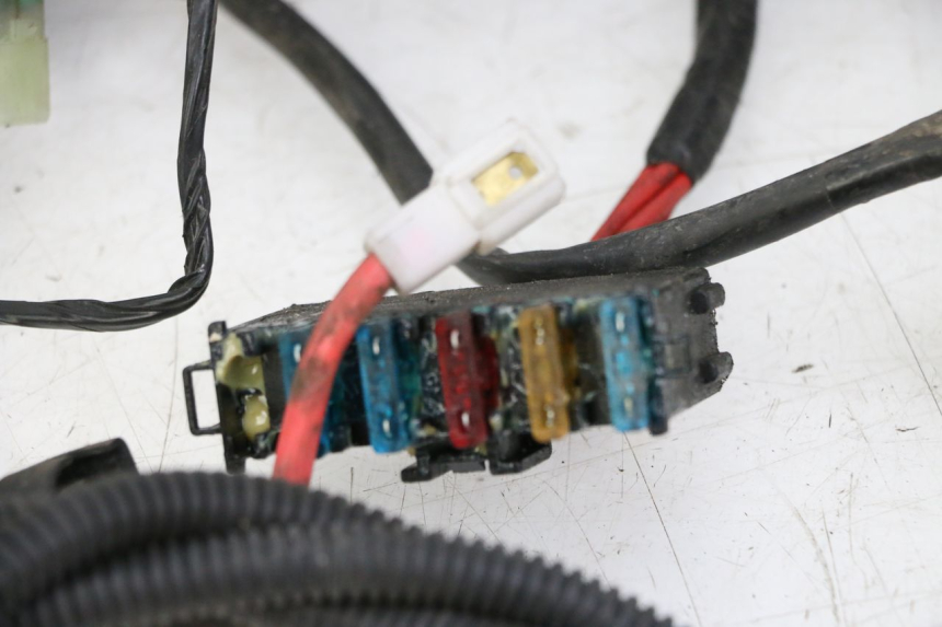 photo de WIRE HARNESS SYM JOYMAX 125 (2010 - 2017)