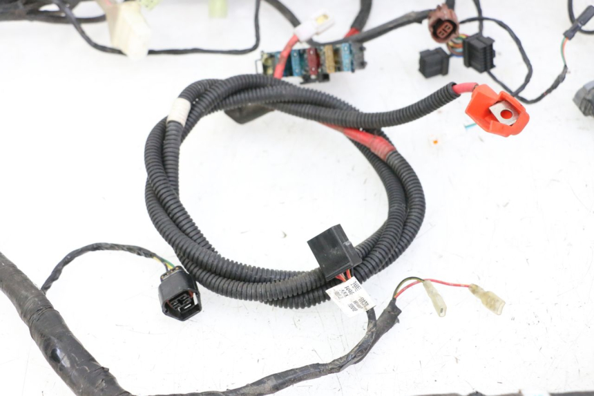 photo de WIRE HARNESS SYM JOYMAX 125 (2010 - 2017)